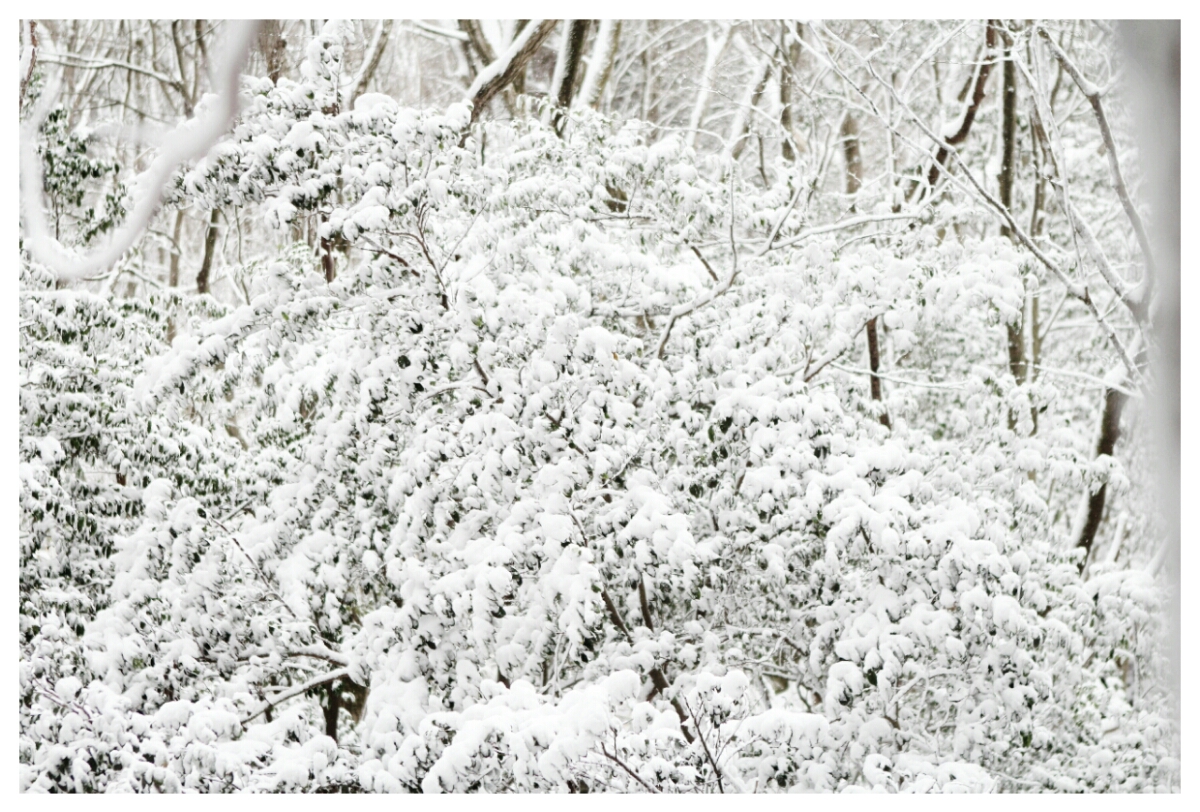 KakaoTalk_20141223_104404077.jpg : 言約가족 장년2진 보고서