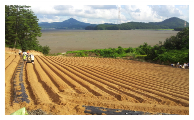 꾸미기_KakaoTalk_3e9effe0a7fca6f4.jpg : 20차 농어촌선교 벧엘교회 보고