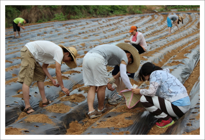 꾸미기_KakaoTalk_7ea5fbb201f740c0.jpg : 20차 농어촌선교 벧엘교회 보고