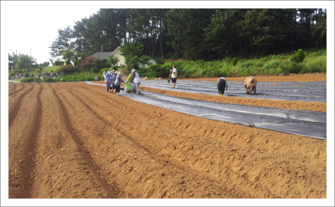 꾸미기_KakaoTalk_3a977a444c76cbb2.jpg : 20차 농어촌선교 벧엘교회 보고