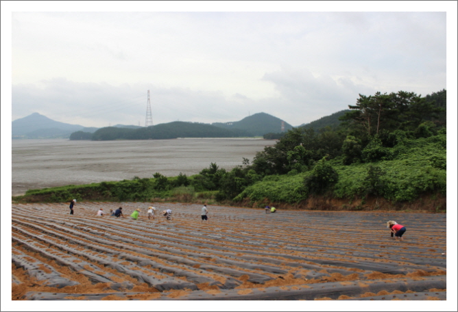 꾸미기_KakaoTalk_8699ea64cad817a8.jpg : 20차 농어촌선교 벧엘교회 보고