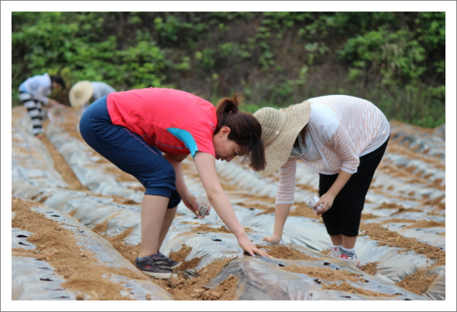 꾸미기_KakaoTalk_cdd1bb3408d0413d.jpg : 20차 농어촌선교 벧엘교회 보고