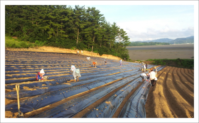 꾸미기_KakaoTalk_032d45449b0d73d8.jpg : 20차 농어촌선교 벧엘교회 보고