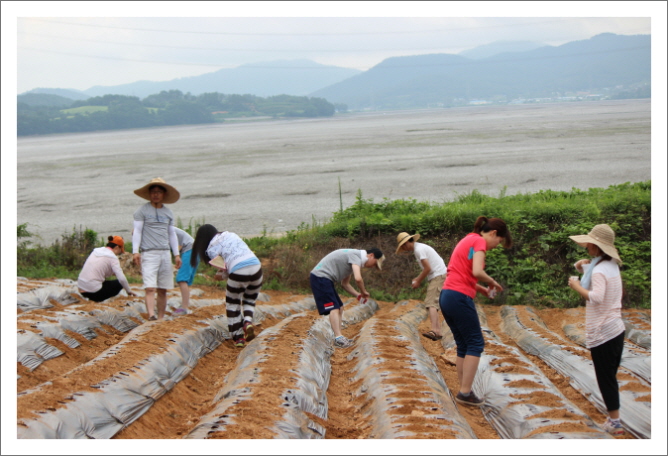 꾸미기_KakaoTalk_2654f38433e75082.jpg : 20차 농어촌선교 벧엘교회 보고