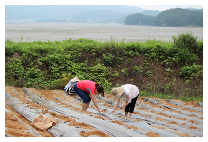 꾸미기_KakaoTalk_0d42ea1d341e51d3.jpg : 20차 농어촌선교 벧엘교회 보고