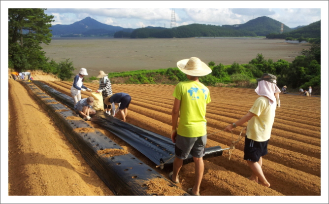 꾸미기_KakaoTalk_3a4f4713d54dea84.jpg : 20차 농어촌선교 벧엘교회 보고