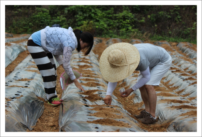 꾸미기_KakaoTalk_93c2688125988072.jpg : 20차 농어촌선교 벧엘교회 보고