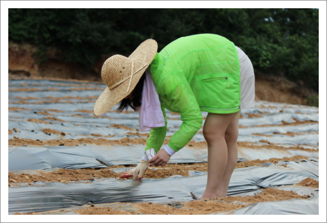 꾸미기_KakaoTalk_48fab0cdcda9e88b.jpg : 20차 농어촌선교 벧엘교회 보고