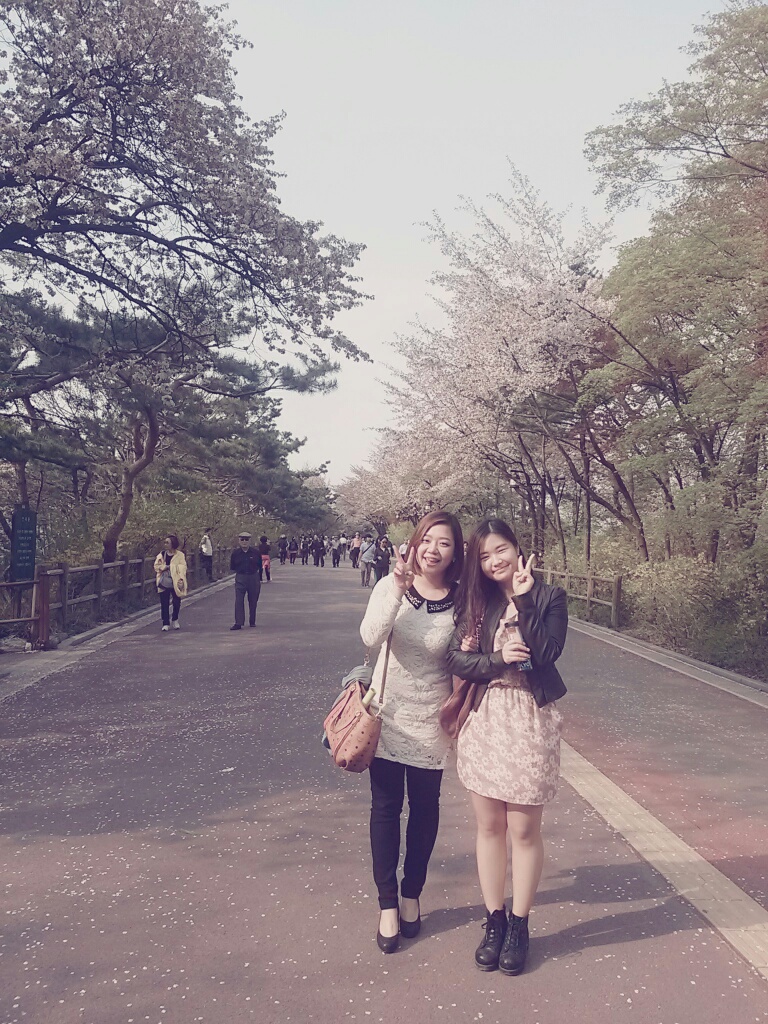 1367302116827_resized_1.jpg : 우리家族 18진 보고서( 4월 봄나드리~^^)