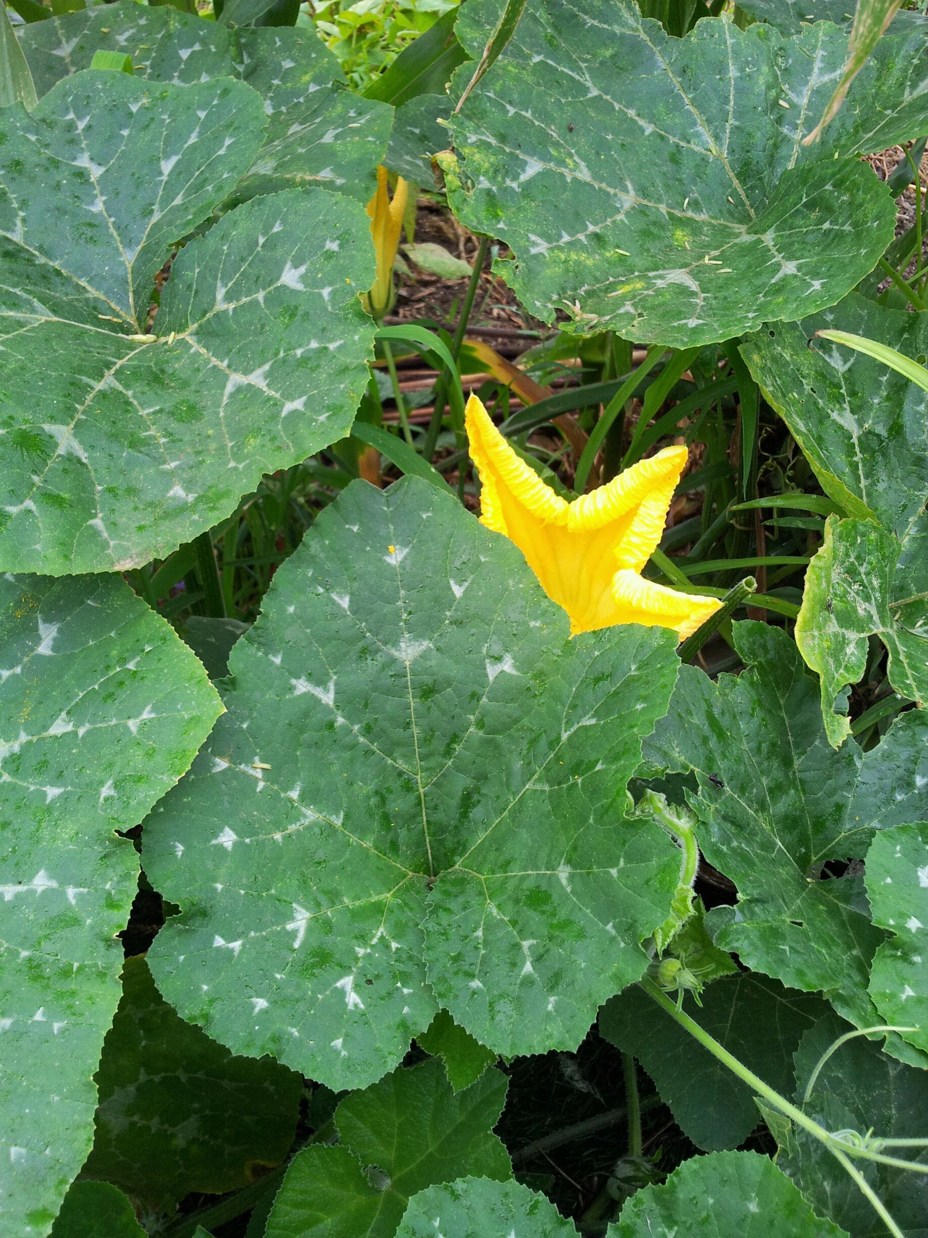 20130712_095047.jpg : 19진 주일 보고서입니다!