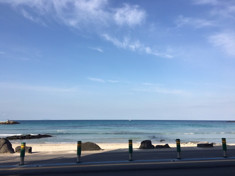 7팀 나나 제주.jpg