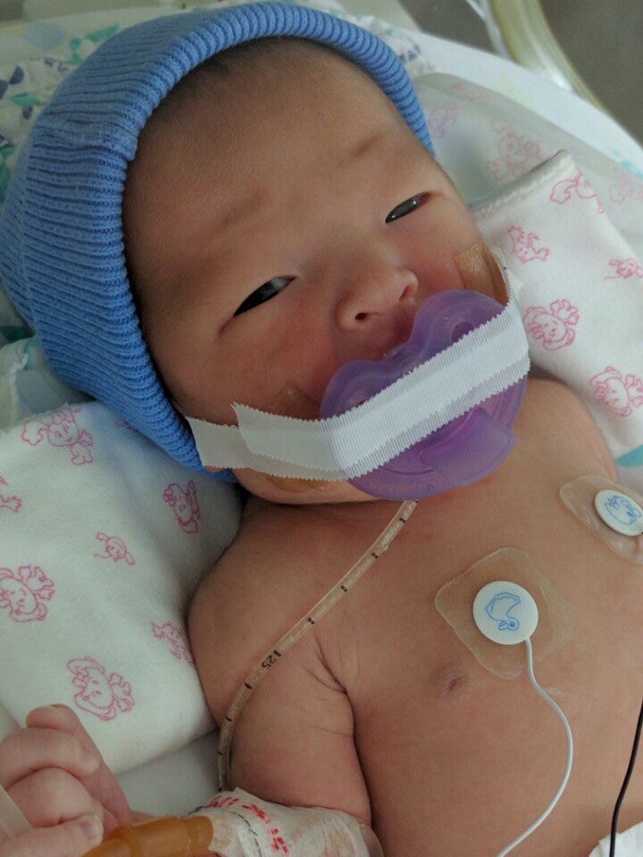 꽃님이 사진.jpg