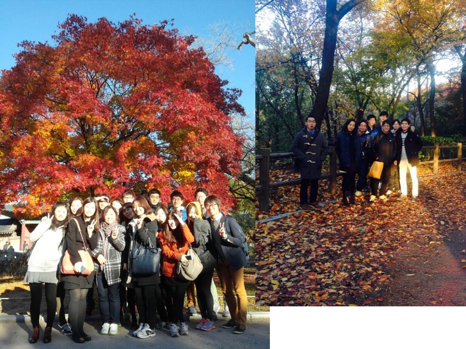 모임 - 시즌2 팀모임 8 10팀 20131110.jpg