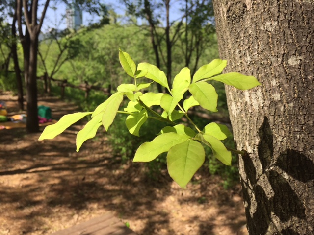 IMG_0495.JPG : 공감 15진 주일 보고
