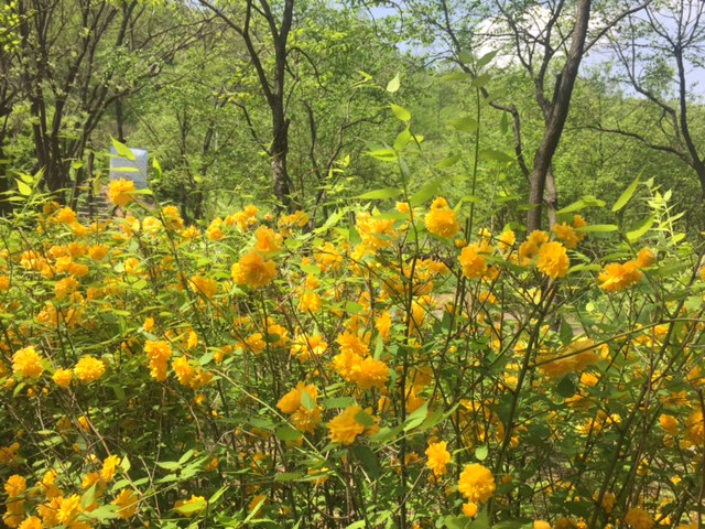 IMG_0469.JPG : 공감 15진 주일 보고