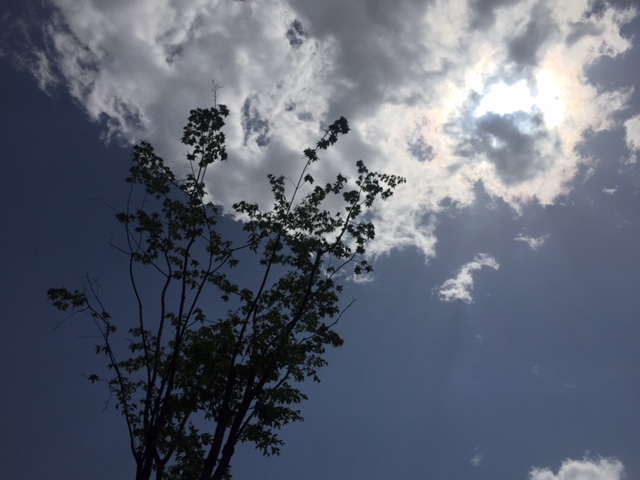 IMG_0481.JPG : 공감 15진 주일 보고