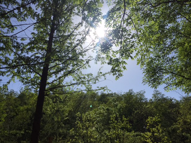 IMG_0498.JPG : 공감 15진 주일 보고