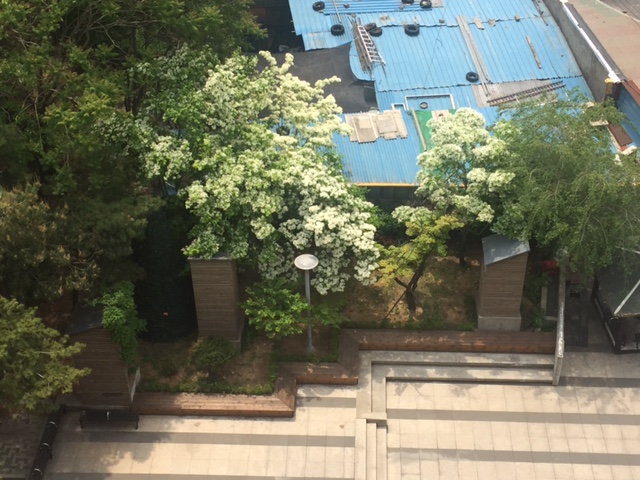 IMG_0538.JPG : 공감 15진 주일 보고