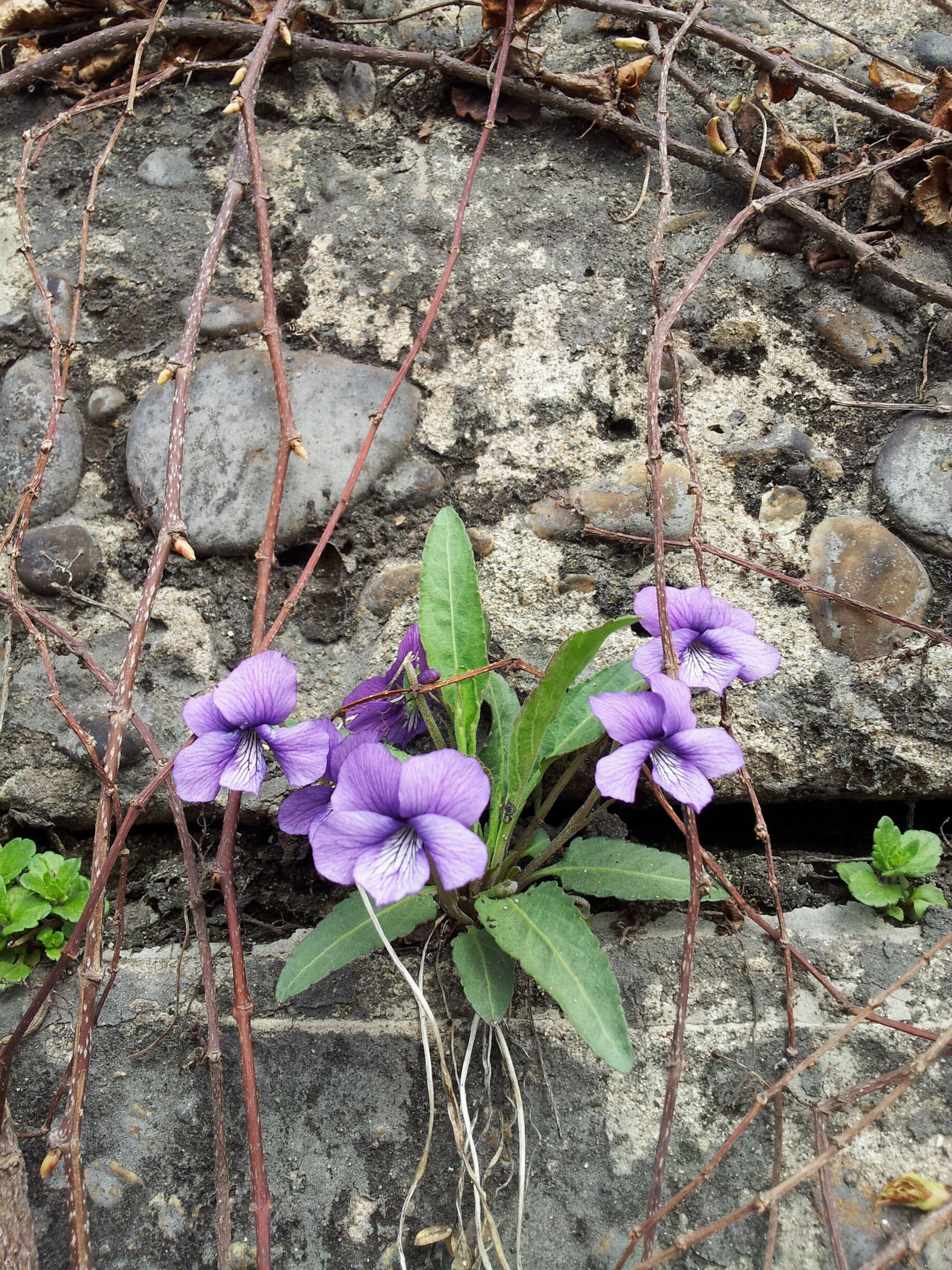 20130405_145929.jpg : 19진 주일 보고서입니다!