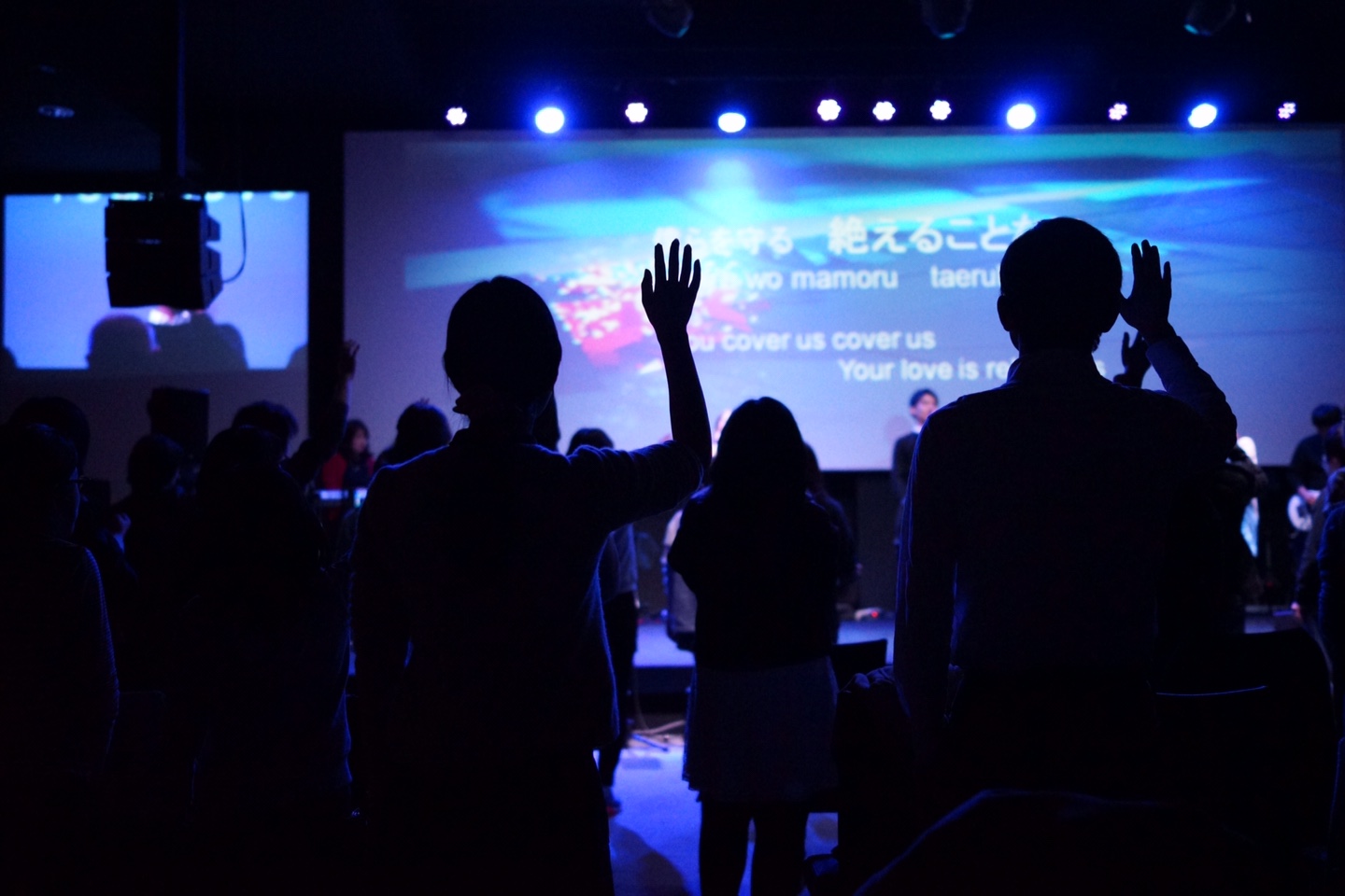 2015-02-04 23.08.39.jpg