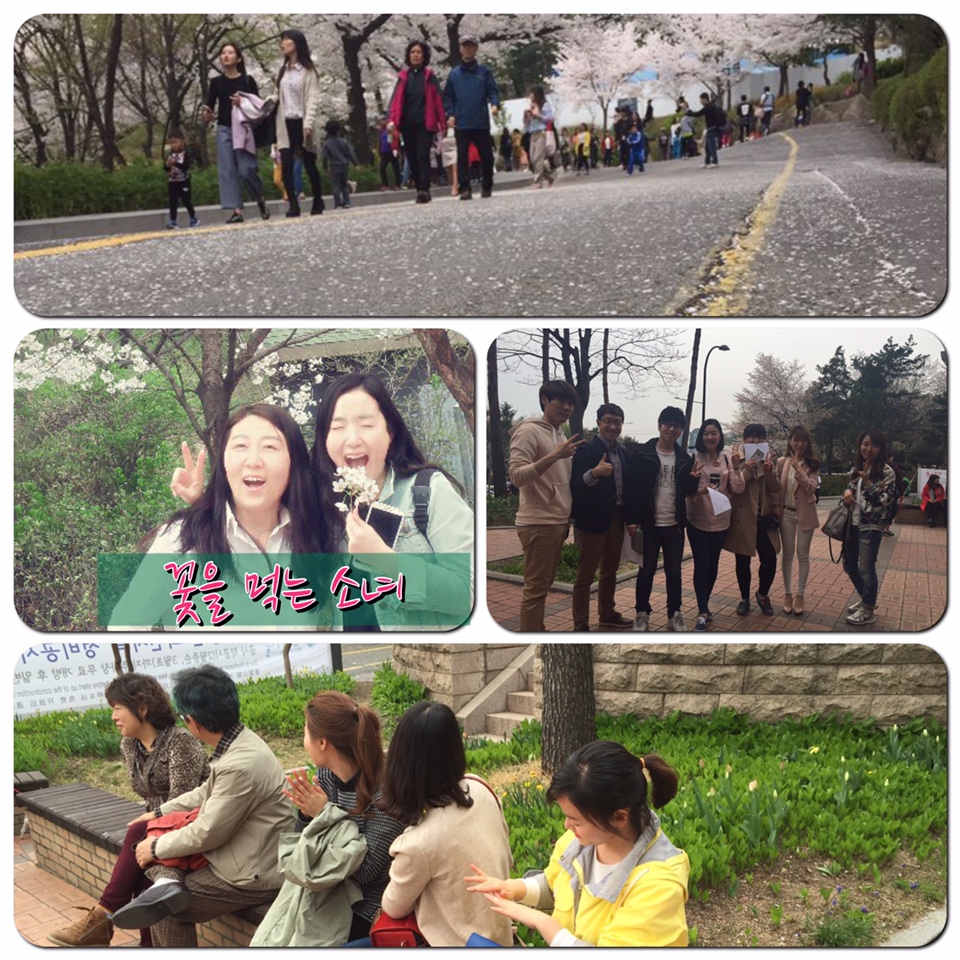 9.jpg : 대청13진 예람제합니다. JESUS blossom!!