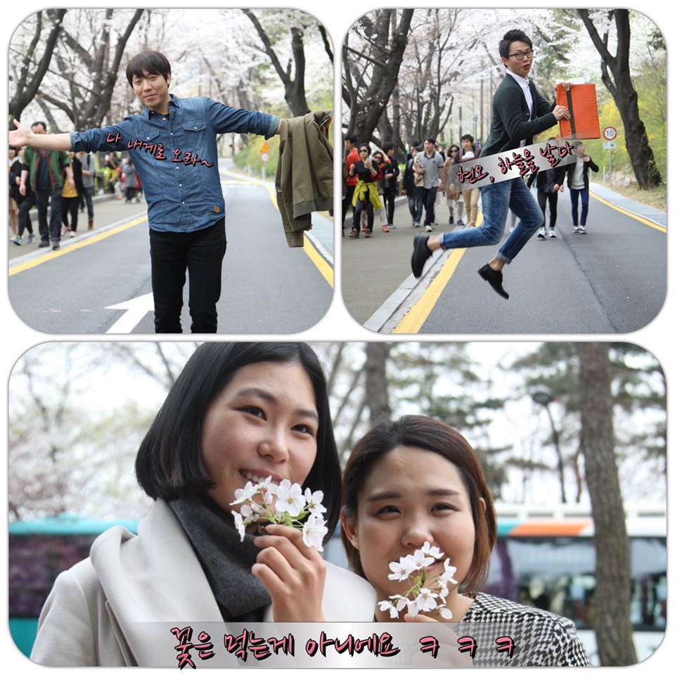 8.jpg : 대청13진 예람제합니다. JESUS blossom!!