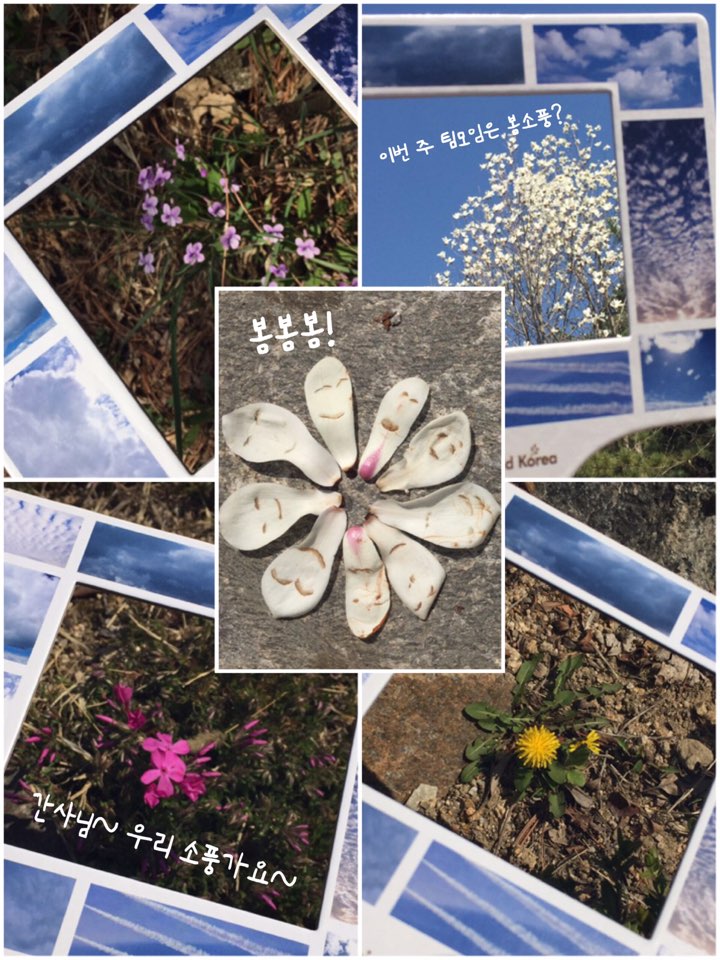 000.jpg : 11진 주일 보고(20160403)