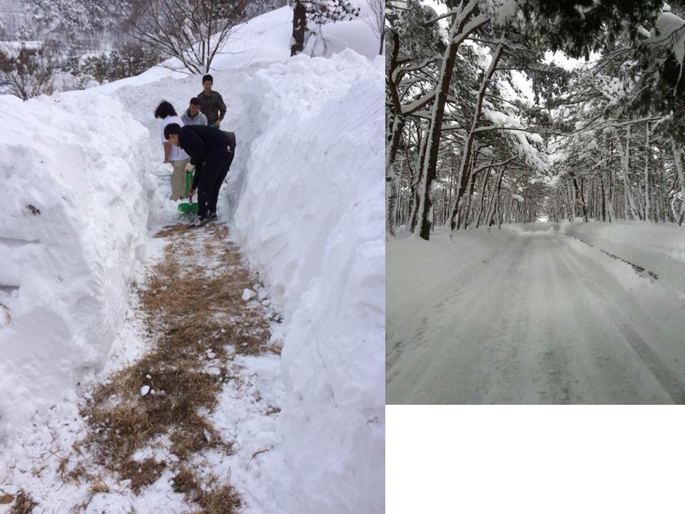 군선교 - 22사단 재설작전.jpg