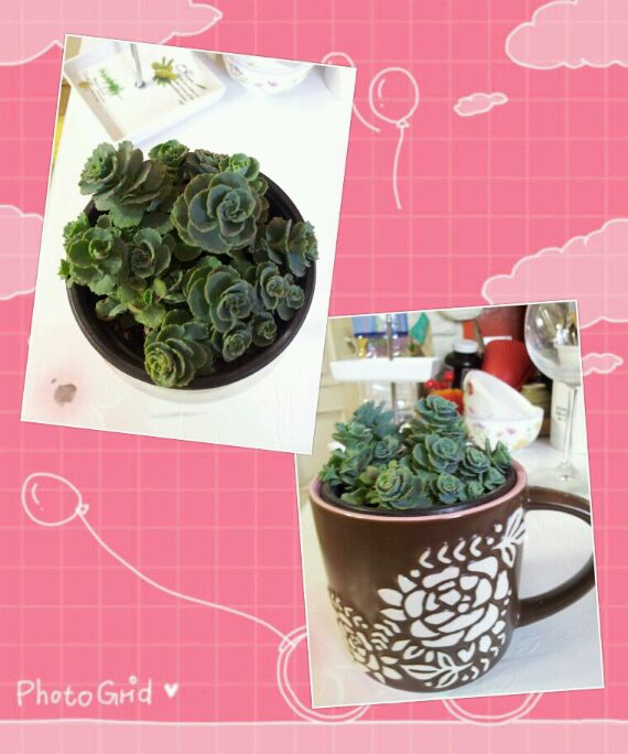 PhotoGrid_1365924217795.jpg : 19진 주일 보고서입니다! PhotoGrid_1365924217795.jpg : 19진 주일 보고서입니다!
