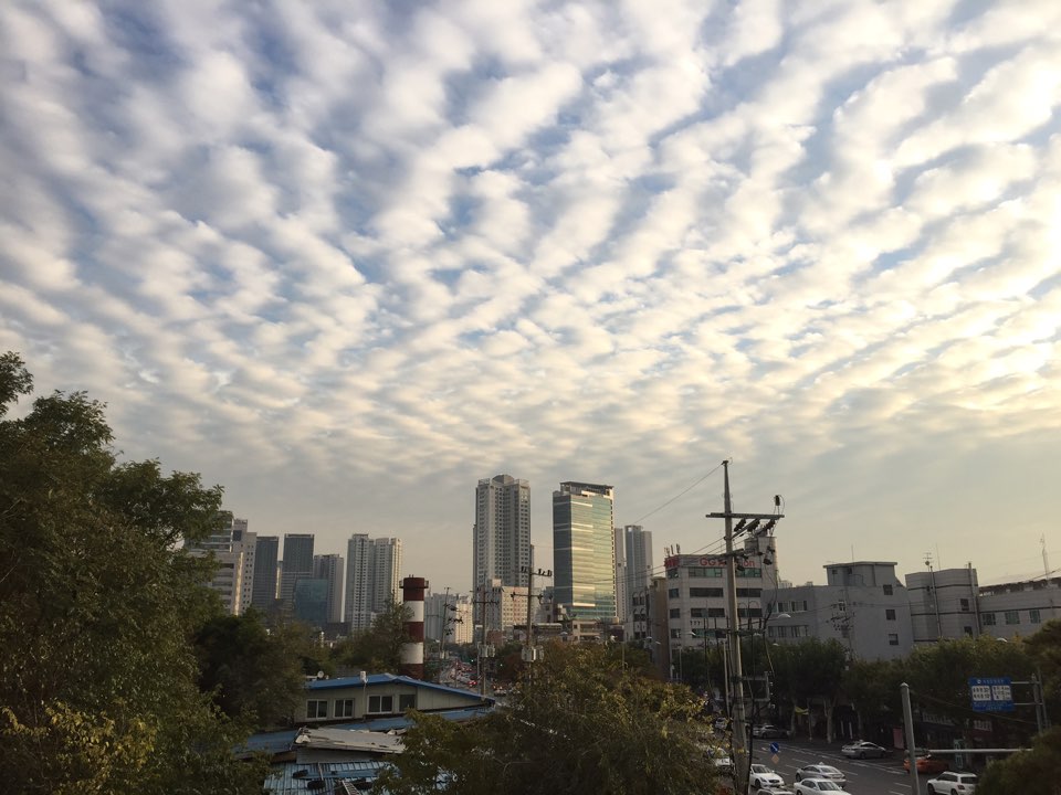 KakaoTalk_20151103_213253003.jpg : 공감 15진 주일 보고 KakaoTalk_20151103_213253003.jpg : 공감 15진 주일 보고