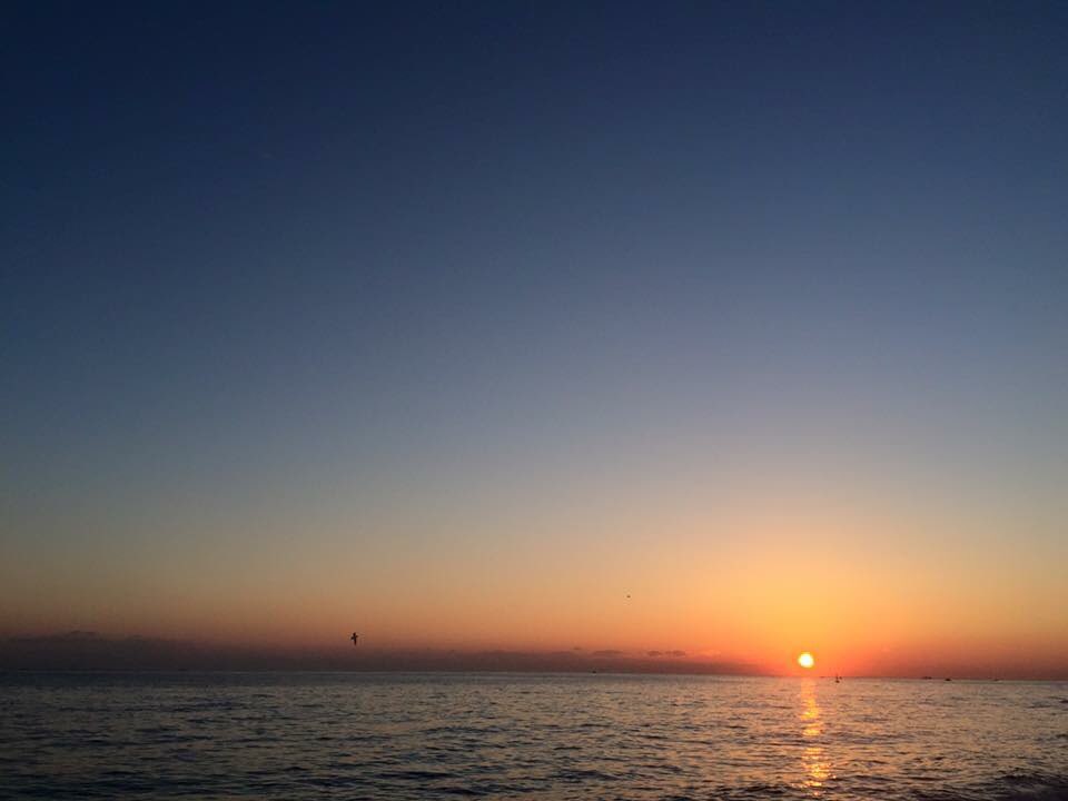 bi1Ud0151nea3oestpluj_nhbpuf.jpg : (디딤돌 14진) 주일보고