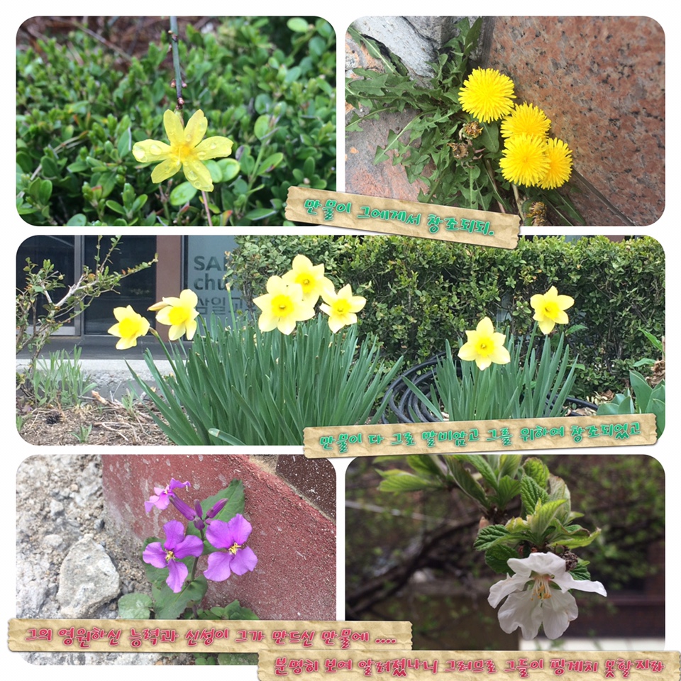 1.jpg : 포스13진 김명일간사님 장가간데요^*^