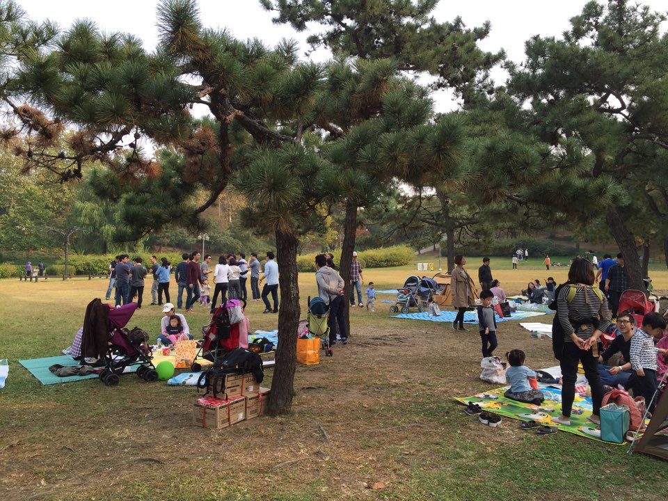 KakaoTalk_20151018_180134822.jpg : 청장년 3진 주일보고서(야유회)