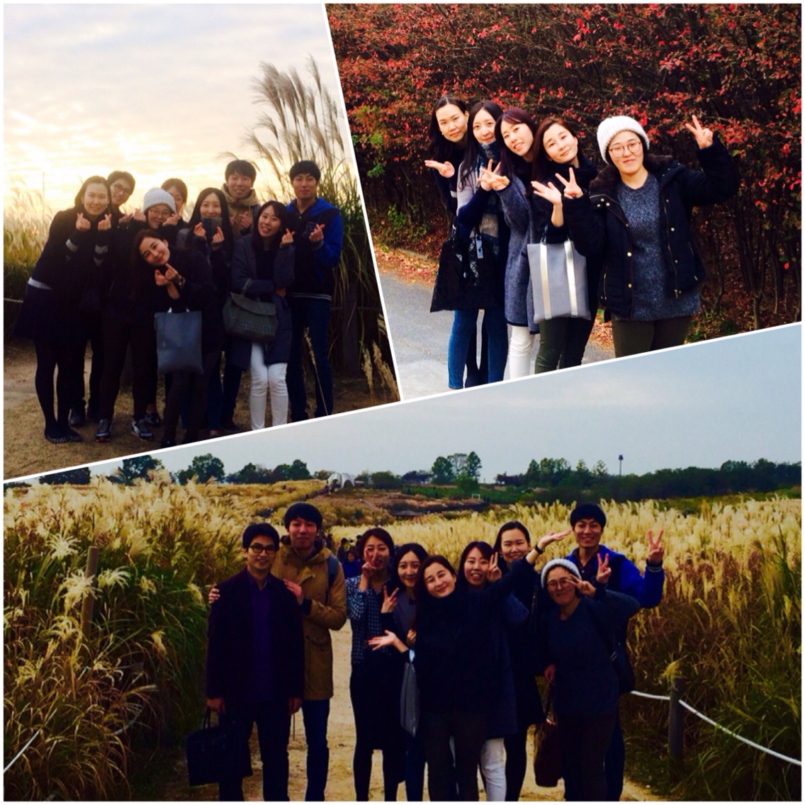 4-3.jpg : 포스13진, 도전 골든벨을 울려라 4-3.jpg : 포스13진, 도전 골든벨을 울려라