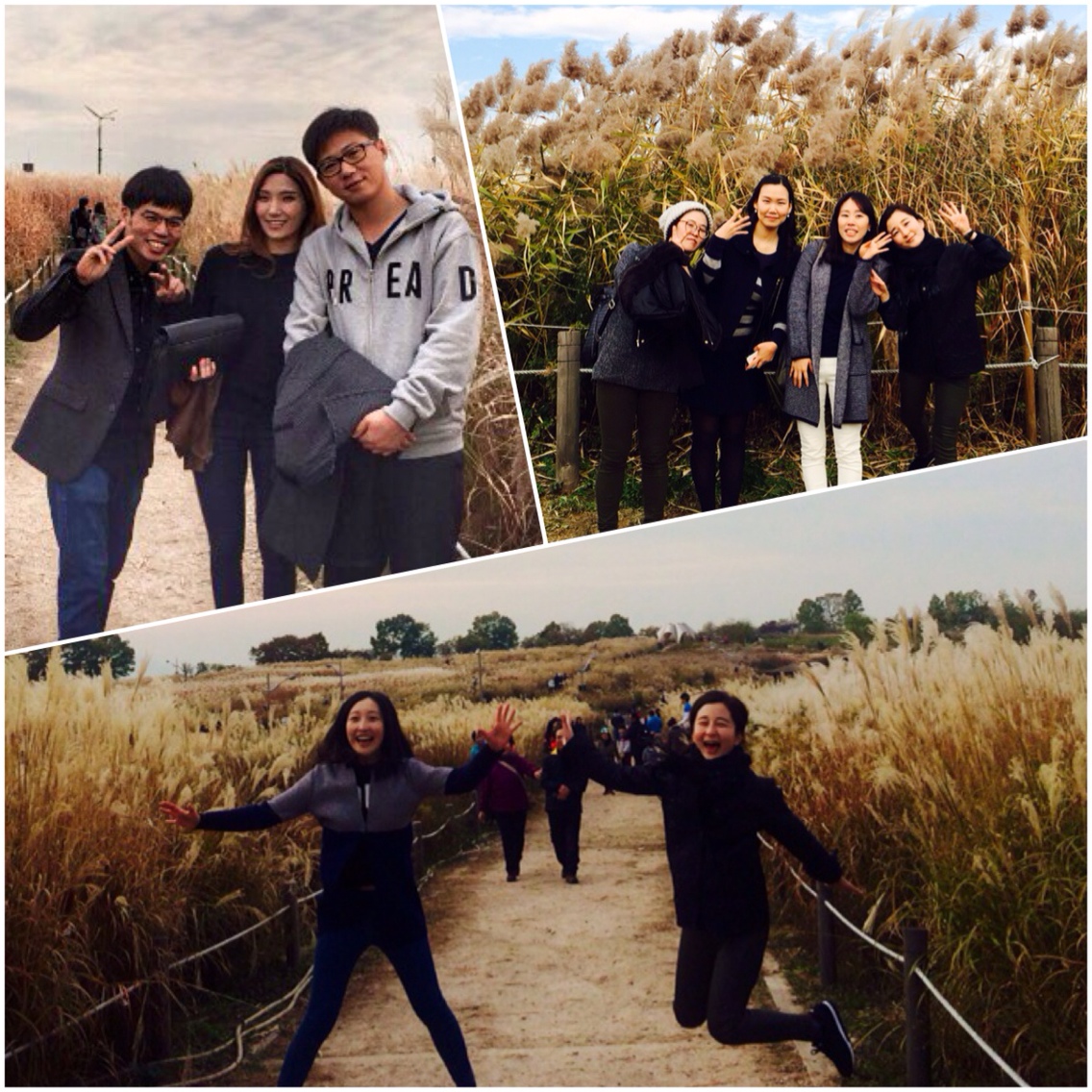 4-2.jpg : 포스13진, 도전 골든벨을 울려라 4-2.jpg : 포스13진, 도전 골든벨을 울려라