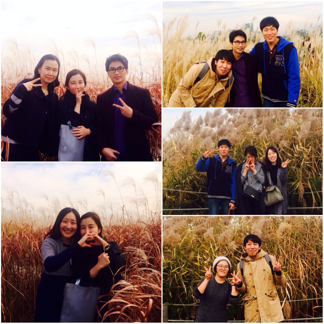 4-1.jpg : 포스13진, 도전 골든벨을 울려라 4-1.jpg : 포스13진, 도전 골든벨을 울려라