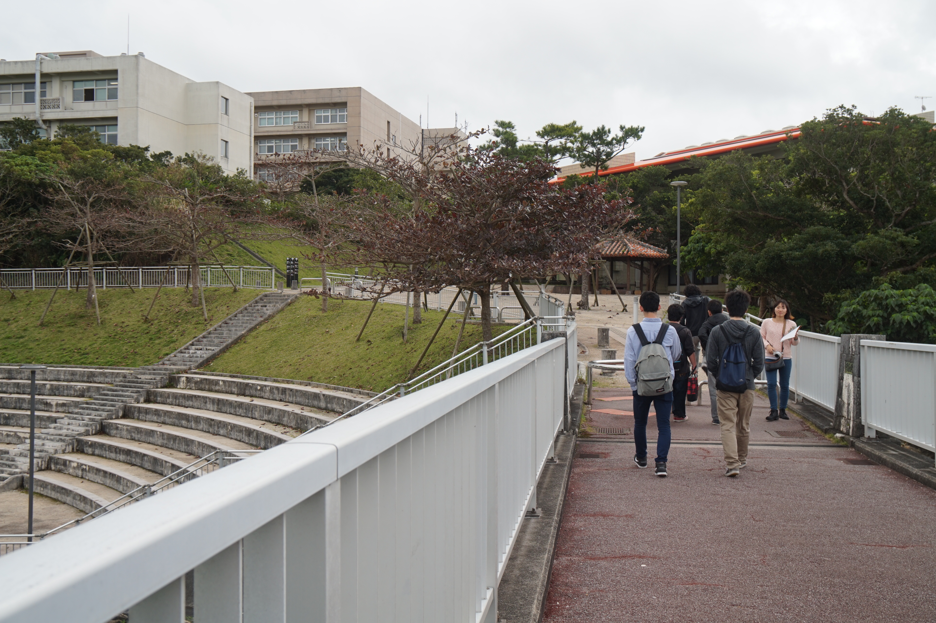 고야-2.JPG : [33차 일본선교] 9차 오키나와 고야교회 선교 보고서 - 1월 29일 금요일 (2일차)