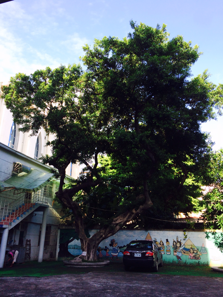 KakaoTalk_20140804_232715541.jpg : (140804)제37차 대만선교 봉산교회 사역보고 1일차 KakaoTalk_20140804_232715541.jpg : (140804)제37차 대만선교 봉산교회 사역보고 1일차