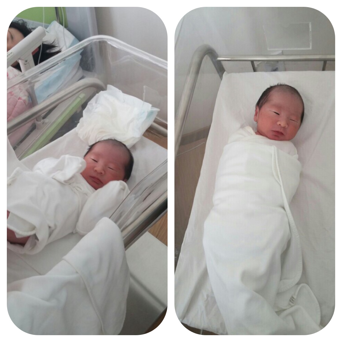 김예중 아기.JPG