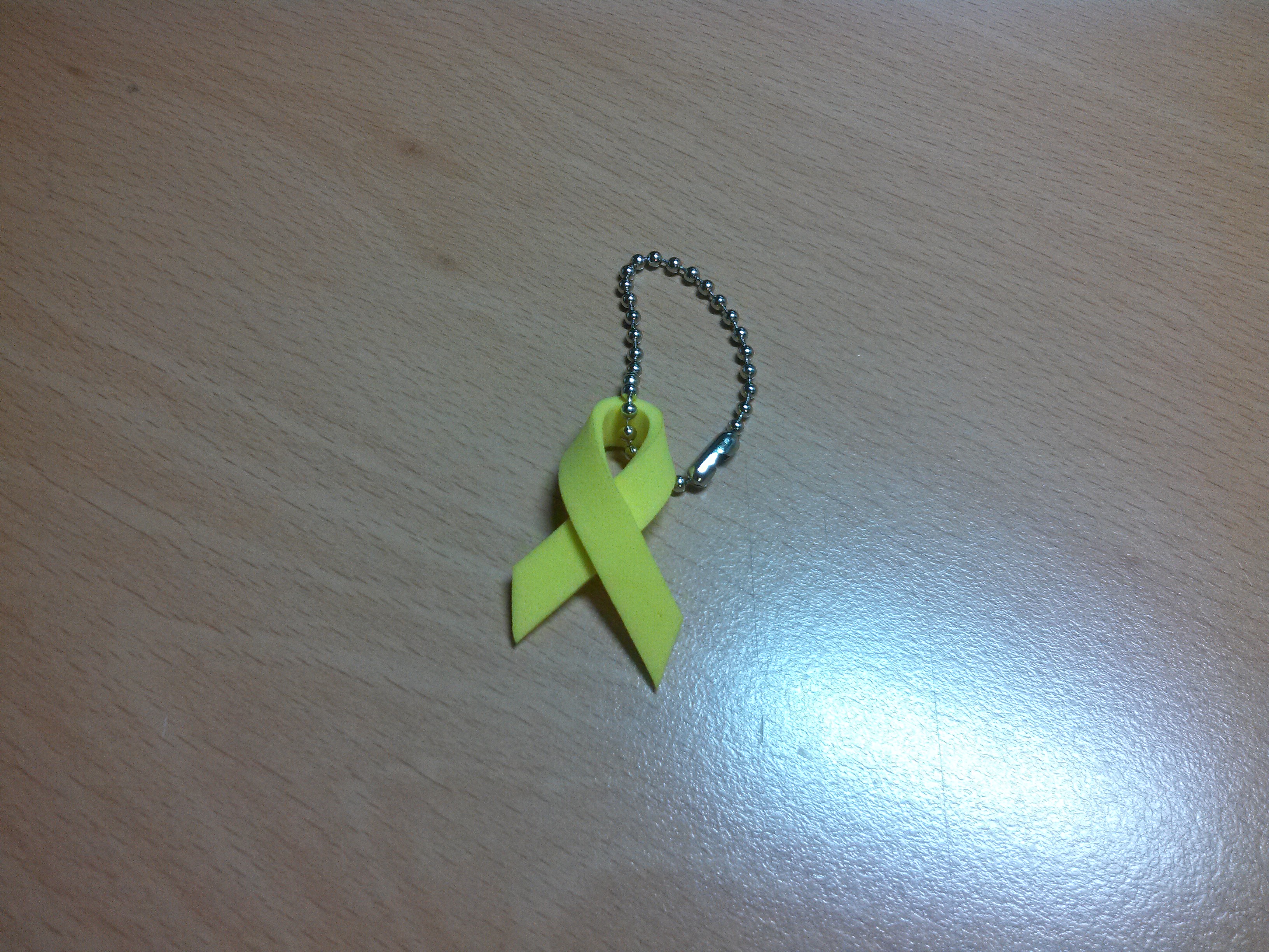 세월호리본.jpg : [함께 웃고 함께 우는 청장년2진] (150412)