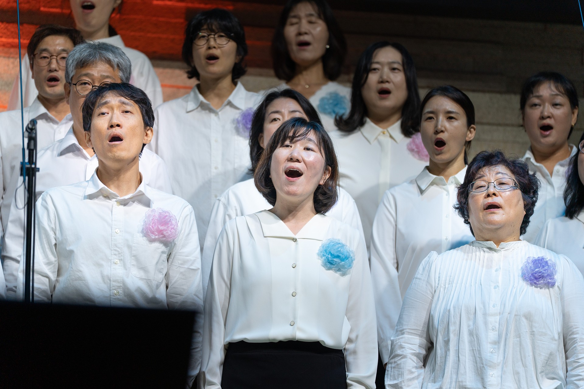 2025.11.16_CCC_cam A30.jpg_compressed.JPEG