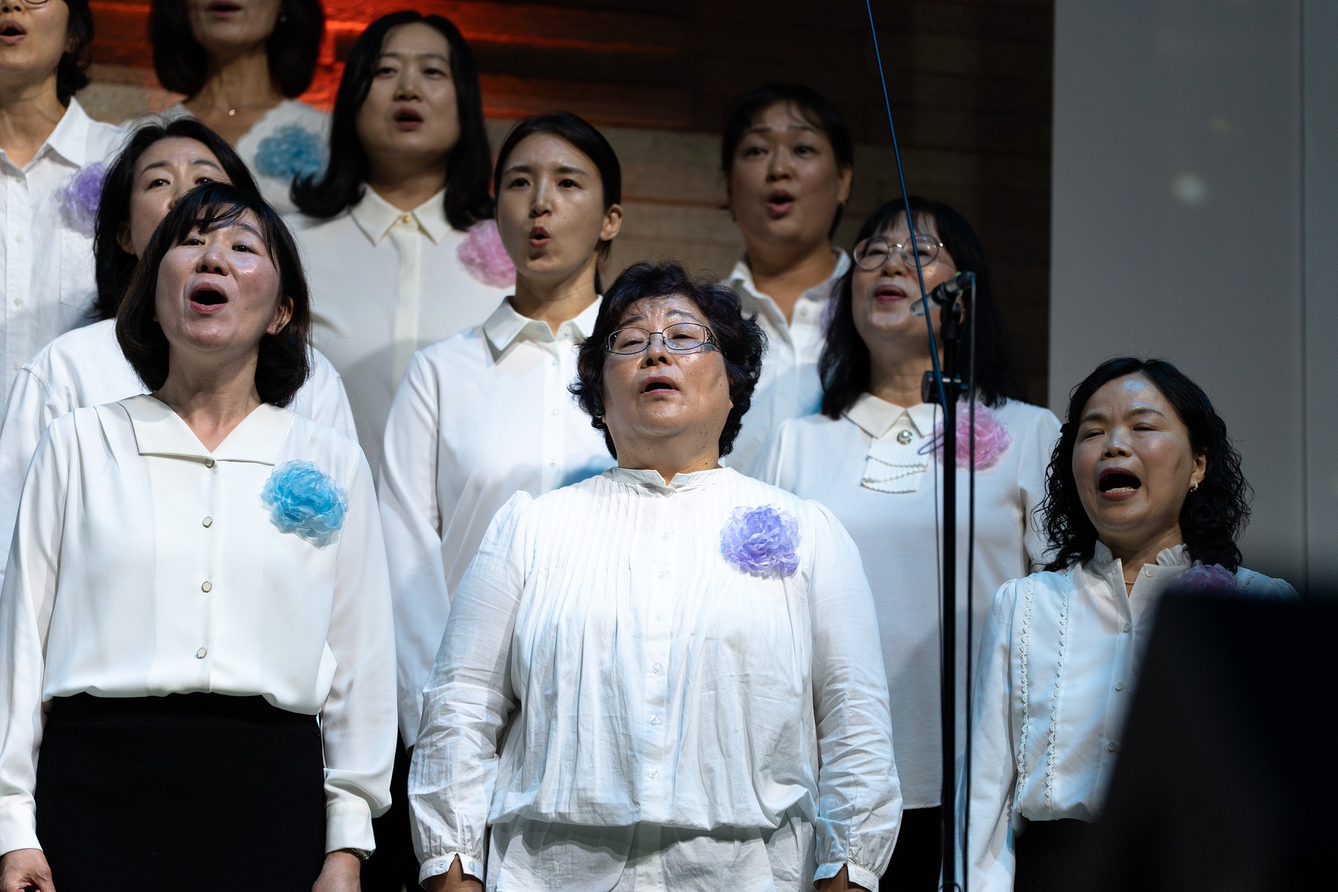 2025.11.16_CCC_cam A29.jpg_compressed.JPEG