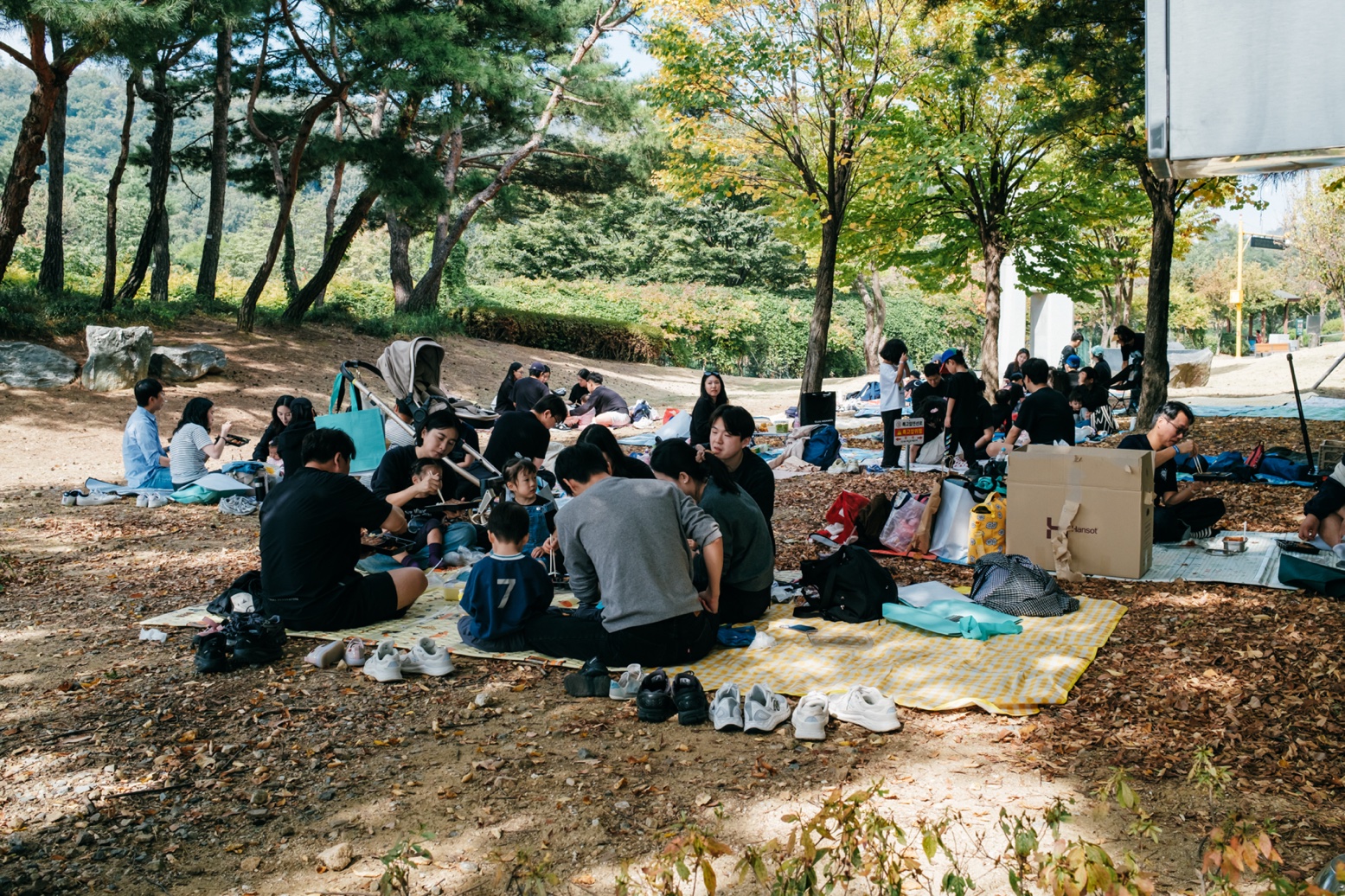 2026 전교인체육대회_백호삼A_005.jpg