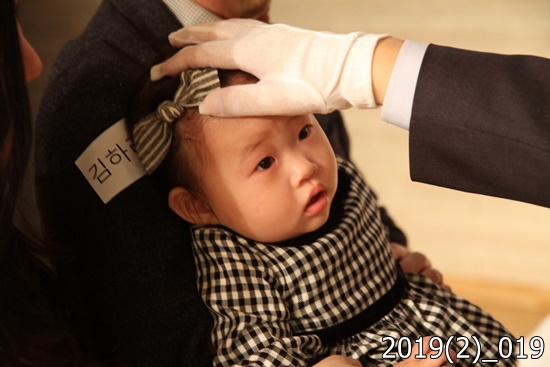 2019(2)_019.jpg