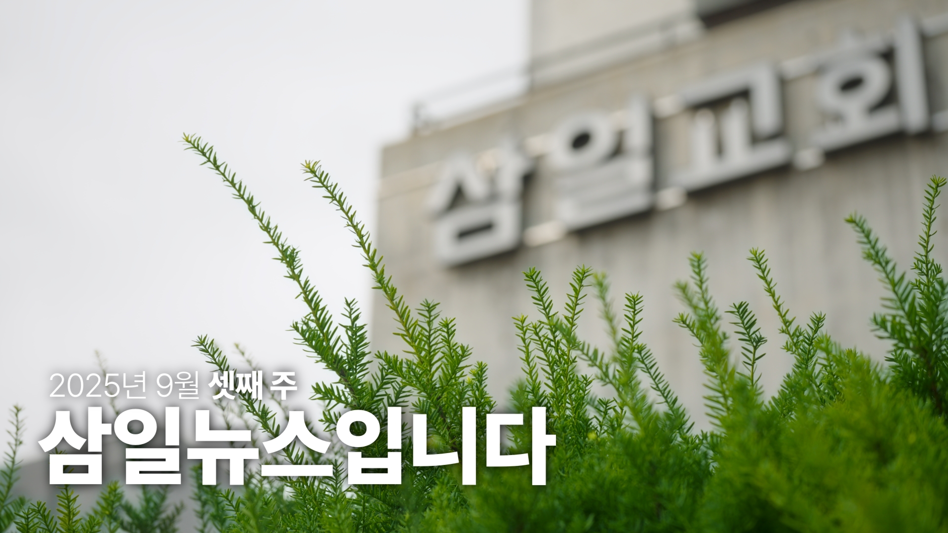 Still 2025-09-21 023244_1.2.1.jpg