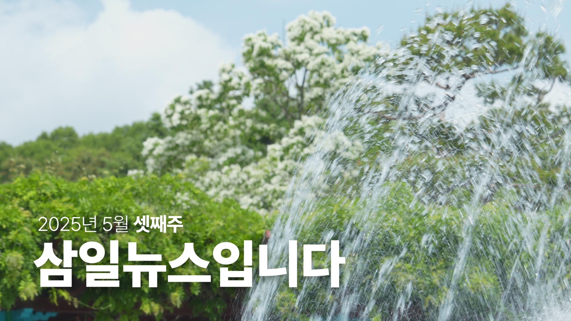 Still 2025-05-17 190450_1.1.1.jpg