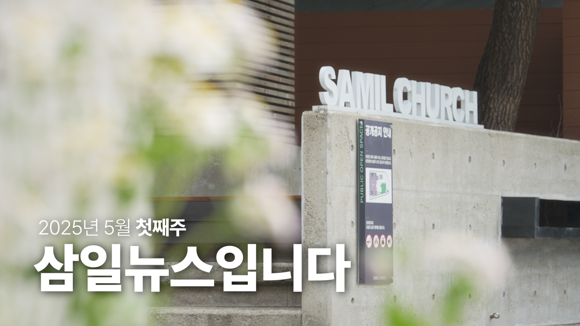 Still 2025-05-04 050438_1.1.1.jpg