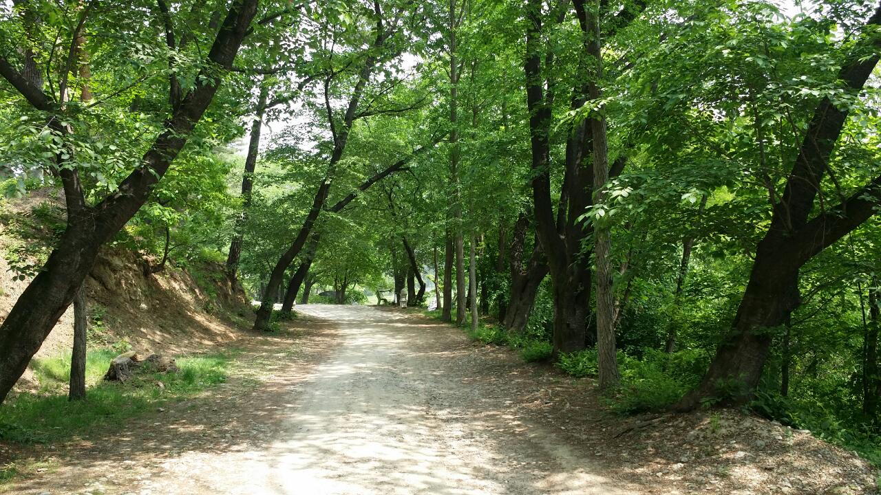 쉼.jpg : 필그린 7진_2015년 6월28일 주일보고서