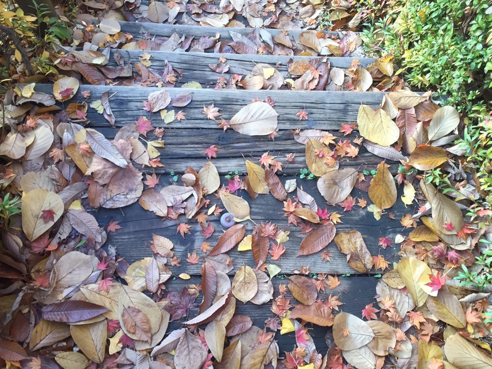 KakaoTalk_20151119_154703088.jpg : 공감 15진 주일 보고