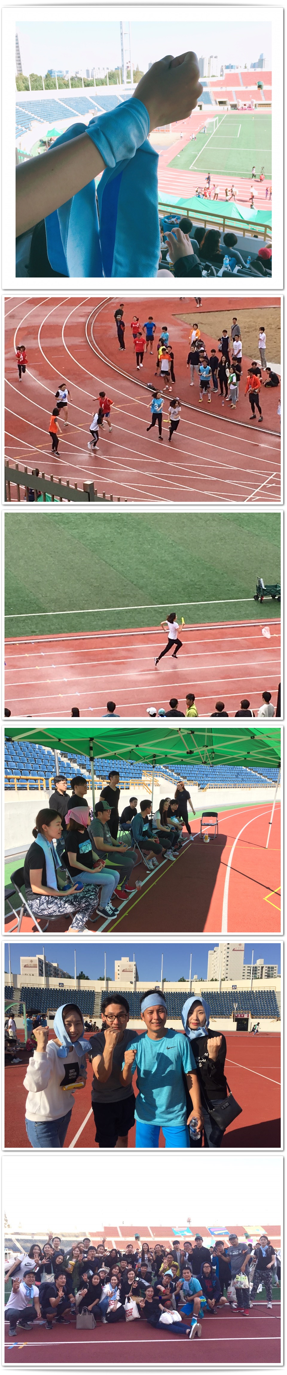 cats.jpg : 가족 4진 주간 보고서